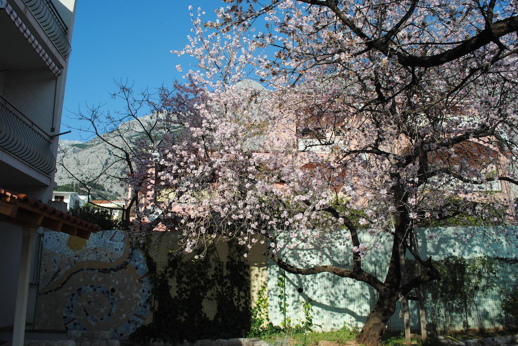 Apartments Natura Makarska Makarská Exteriér fotografie