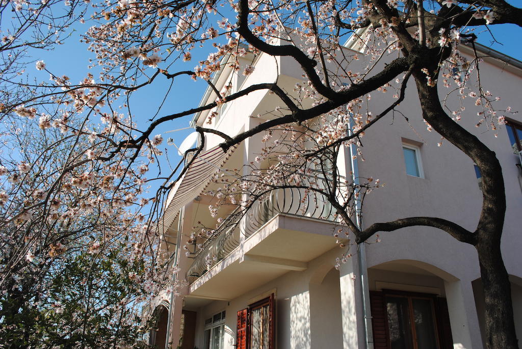 Apartments Natura Makarska Makarská Exteriér fotografie